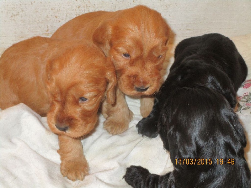 photos
